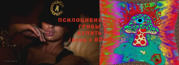 героин Белокуриха