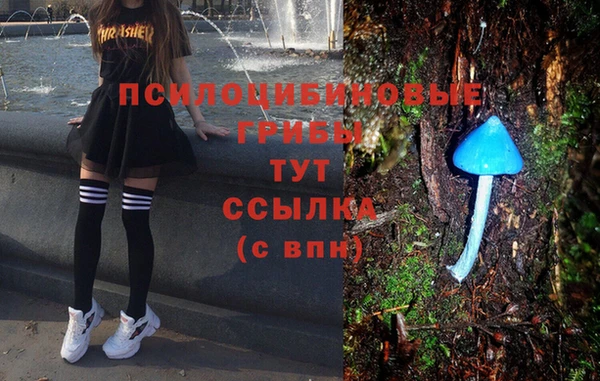 героин Белокуриха